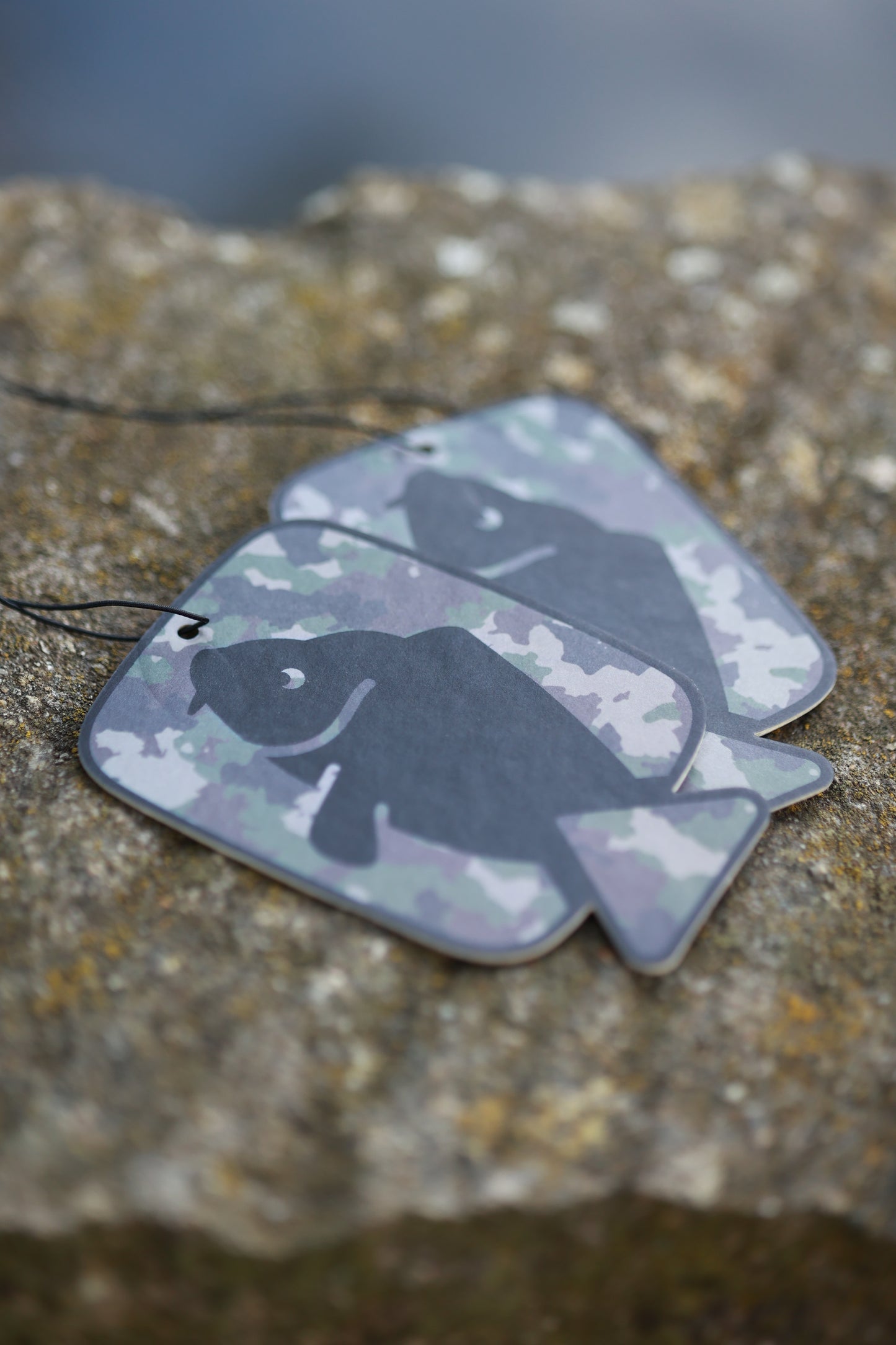 CarpFix Air Fresheners (2-pack)